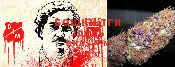 шишки Вязьма