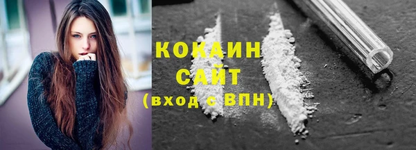 шишки Вязьма