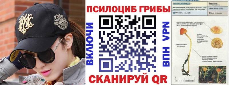 дарк нет телеграм  Звенигово  Галлюциногенные грибы MAGIC MUSHROOMS 
